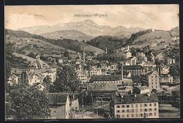 AK Herisau-Wilen, Teilansicht, 1908