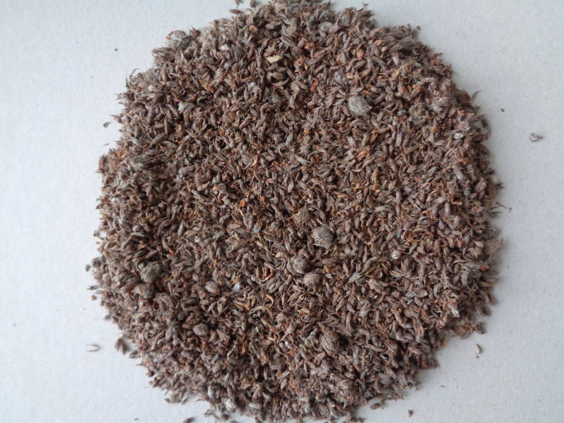 Aliments & Spécialités: 30 Gr.wildes Bergbohnenkraut - Kykladen - Gewürz oder Tee – Neuf (Voir description) à Chur par omonia 1