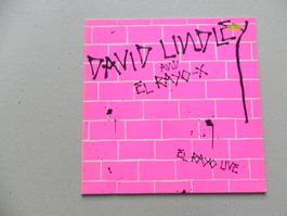 LP USA Rock Band David Lindley & El Rayo-X 1983 Live