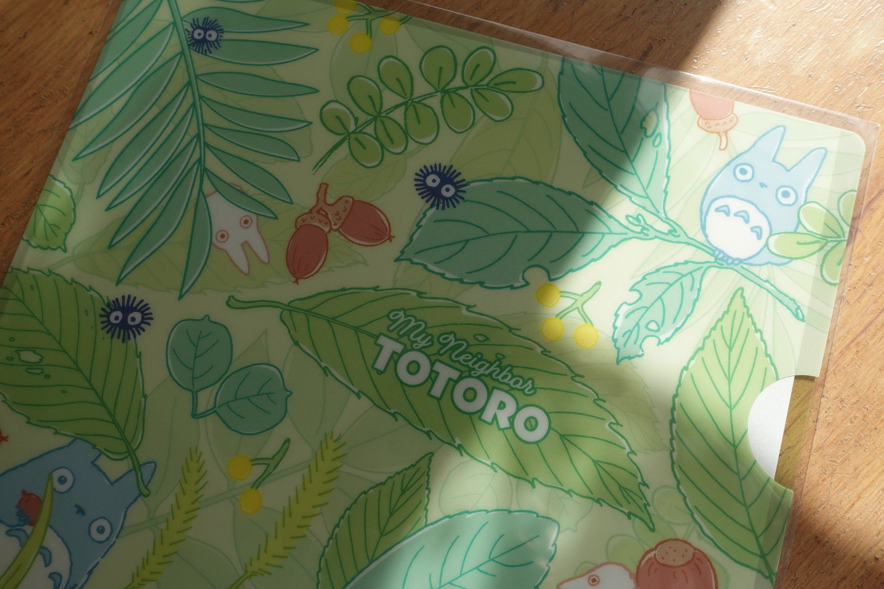Valigie & Borse: Ghibli Totoro - Clear File Mäppli – Nuovo (secondo la descrizione) da Ettiswil venduto da maimaiswiss 1