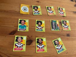 Panini