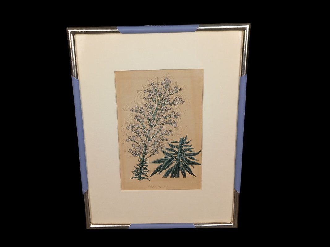 Poster & Bilder: Bild im Bilderrahmen blaue Blume – Gebraucht aus Hünenberg von Restwert_Zug