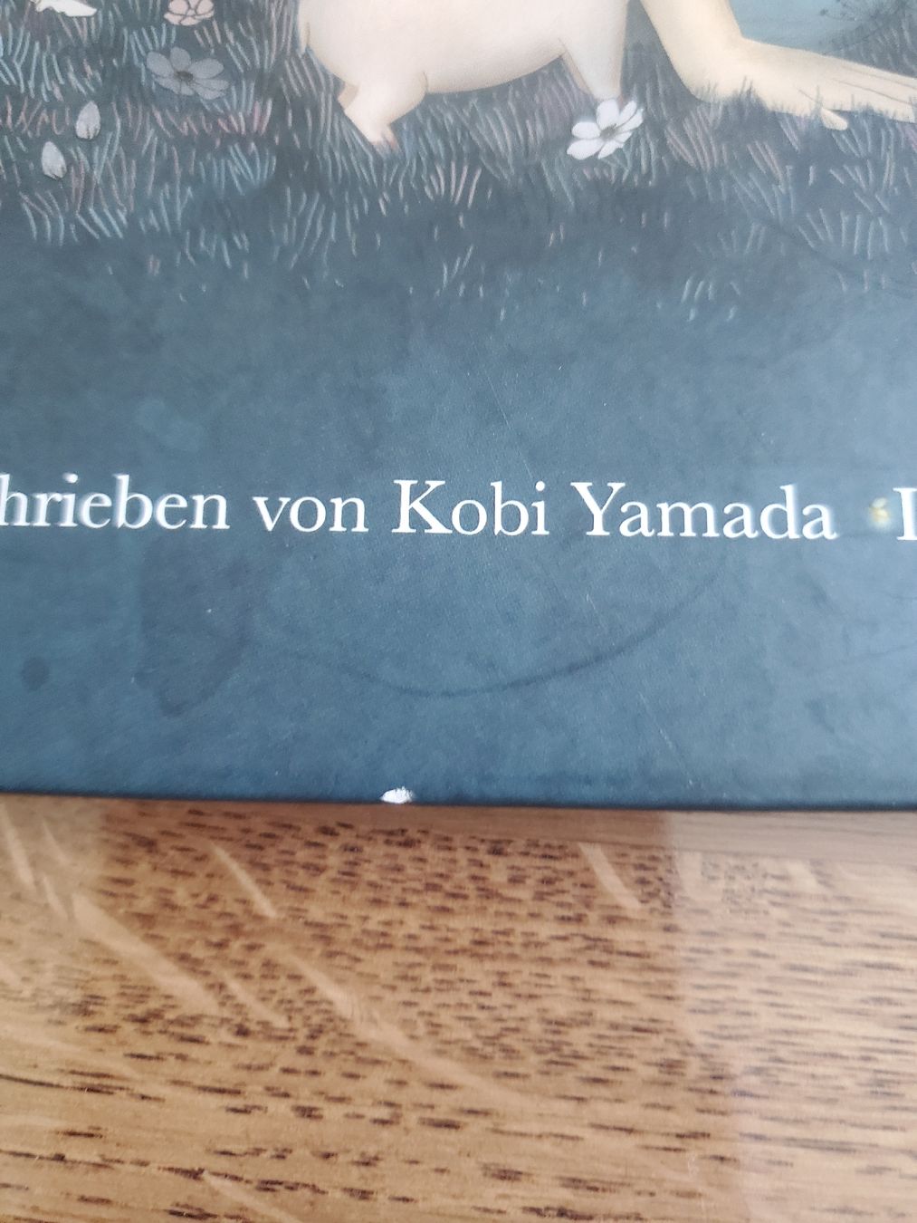 Bücher: Buch Vielleicht – Gebraucht aus Frauenfeld von BeneFull 4