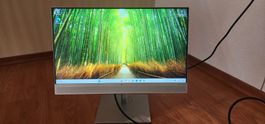 HP Display E243m – 24 Zoll Monitor