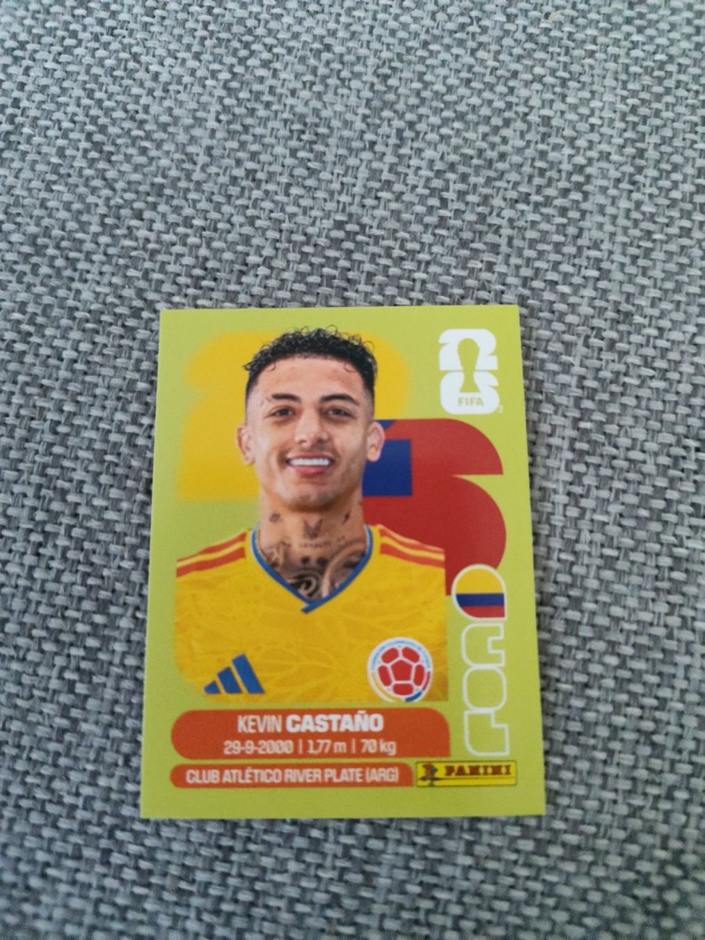 Panini Carte collezionabili: Panini WM 2026, COL 11, CASTANO – Usato da Aarburg venduto da gloeckgloeck