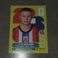 panini 