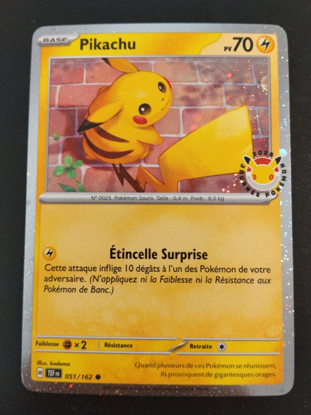 Pokémon Carte collezionabili: Pokémon Promo: Pikachu FR – Usato da Palézieux-Village venduto da oufoux08