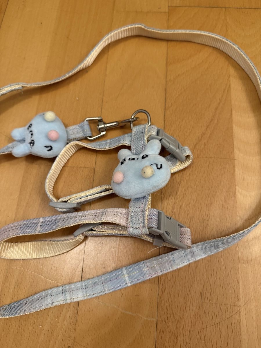 Guinzagli & Collari: Katzengeschirr pet leash new – Usato da Zürich venduto da arr_vq5w 2