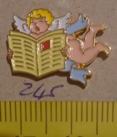 1 Blick Engel Pin (245)