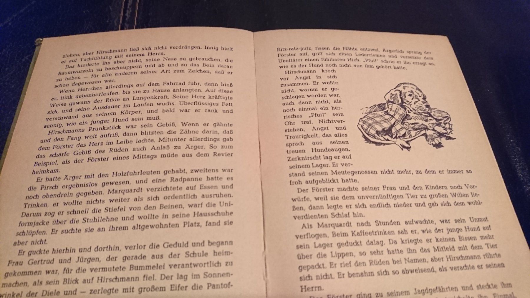 Libri: Knaak, Kurt: Der rote Hirschhund – Usato da Remetschwil venduto da Privatflohmi 1