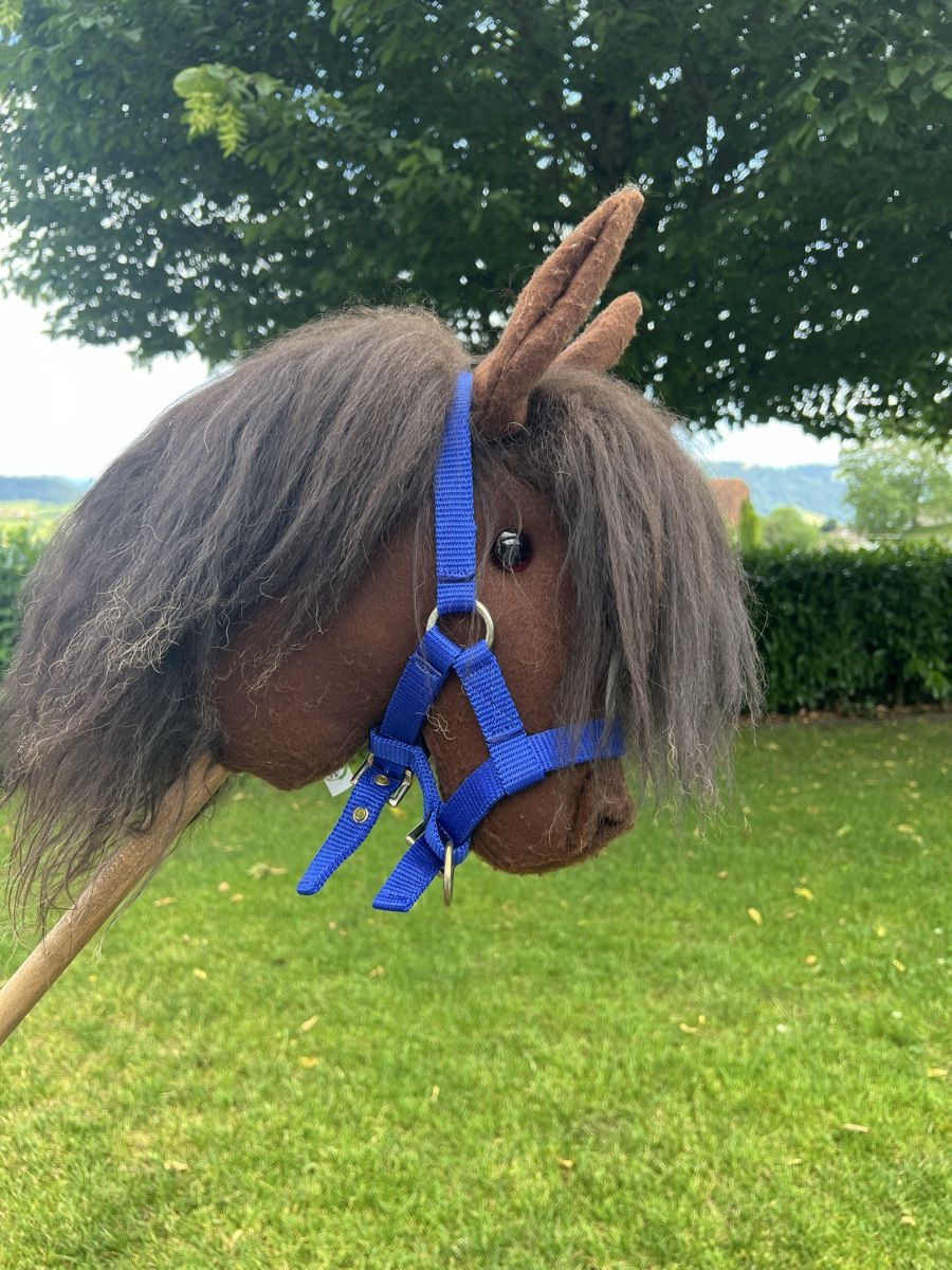 Jouets: Hobby Horse Steckenpferd  – D'occasion à Dietwil par sarn 1