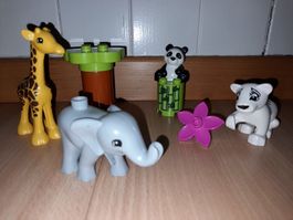 Lego Duplo süsse Tierkinder 10904