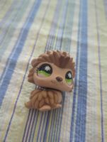 littlest pet shop Igel