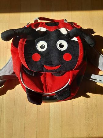Marienkäfer Rucksack Kinder