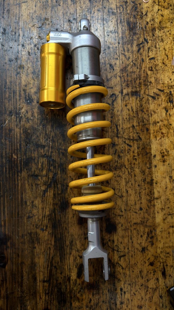 Il mondo degli animali: Öhlins TTX KT 14930 / Husqvarna – Usato da Schüpfen venduto da A_l_e_x 1