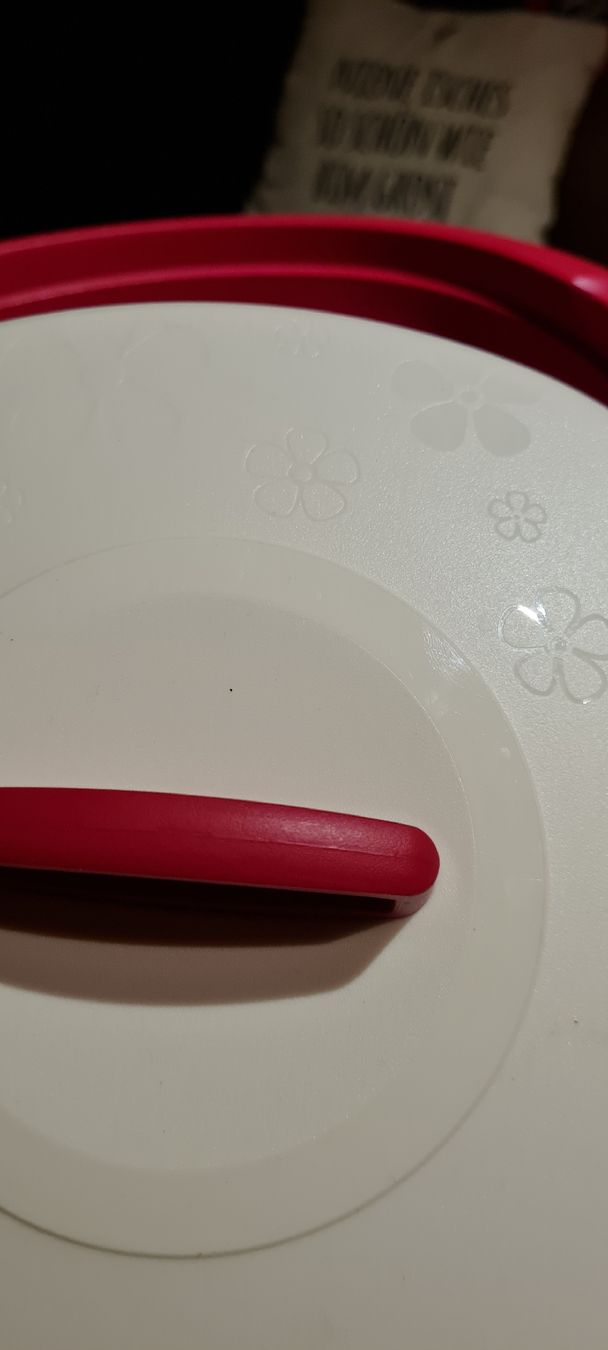 Tupperware Contenitori & Simili: Tupperware Schüssel mit Deckel, rot/weiss – Nuovo (secondo la descrizione) da Münsingen venduto da Cuci31 2