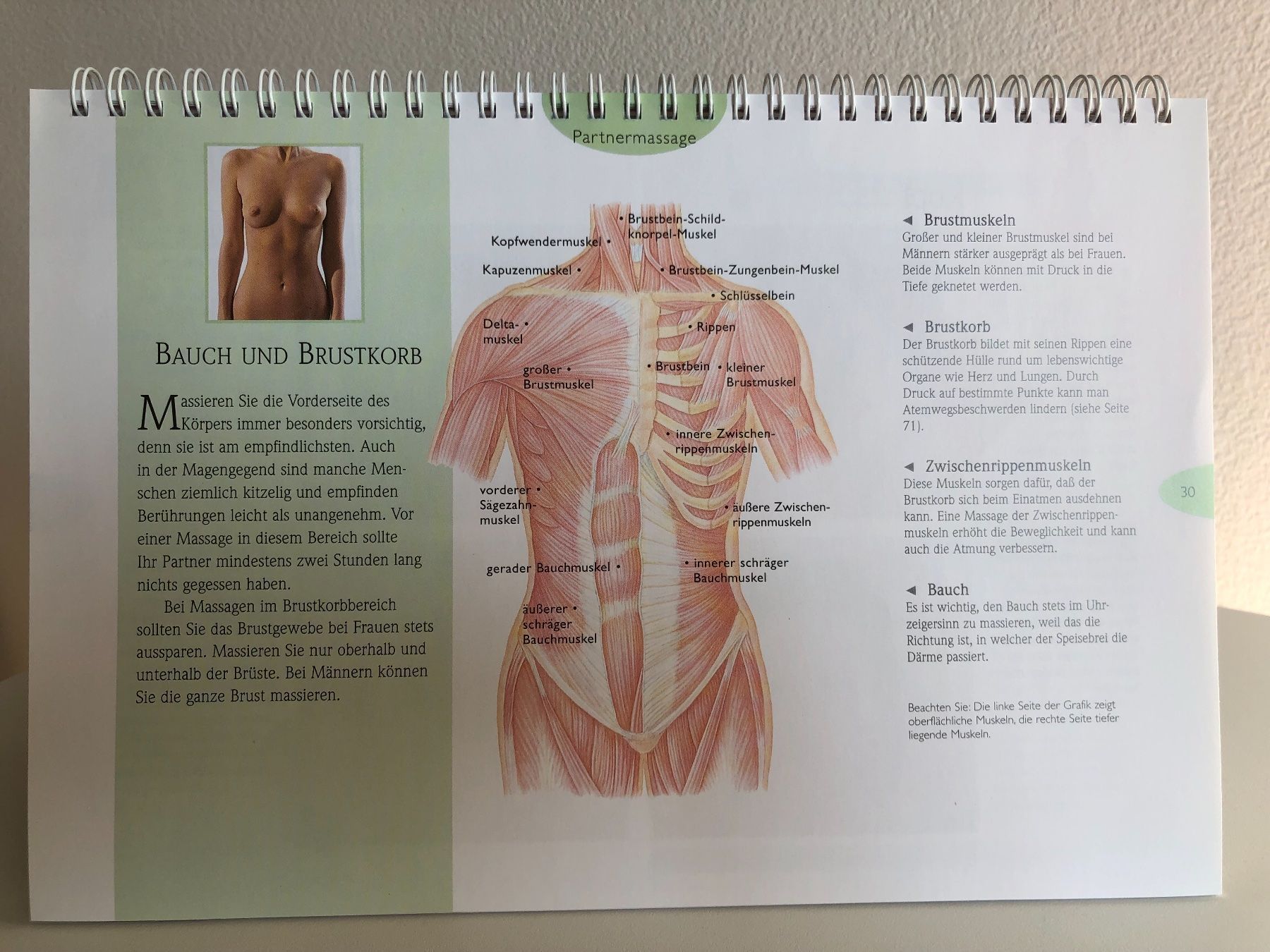 Libri: Massagebuch Marilyn Aslani – Usato da Zürich venduto da kitsune 1