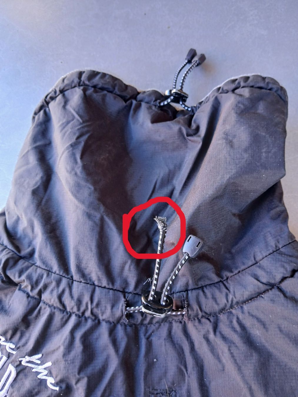 Trixie Abbigliamento: Hundemantel Trixi – Difettoso da Oberramsern venduto da lal_7v57 1