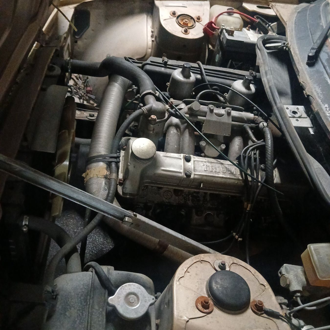 Triumph Automobili: Oldtimer Triumph TR7 JG. 1981 Cabriolet – Usato da Balsthal venduto da redcarpet 6