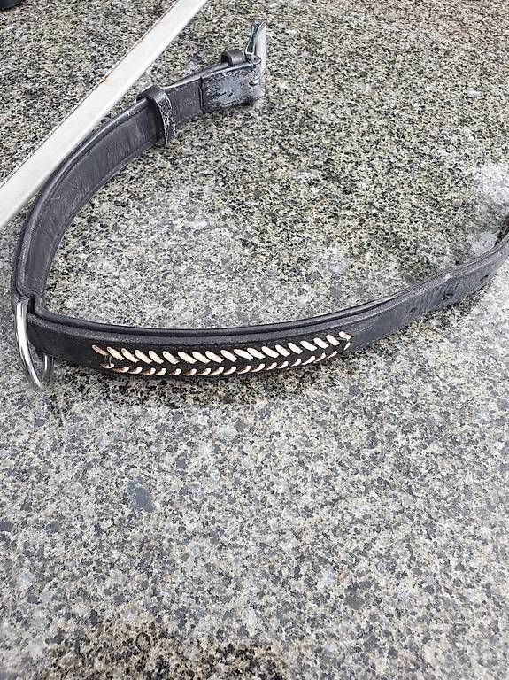 Guinzagli & Collari: Hunde echt Leder Halsband – Usato da Rickenbach LU venduto da trucker.s