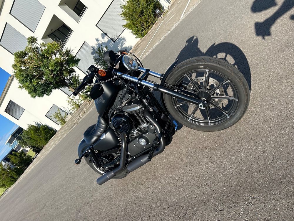 Harley Davidson Sportster 883 | Kaufen auf Ricardo