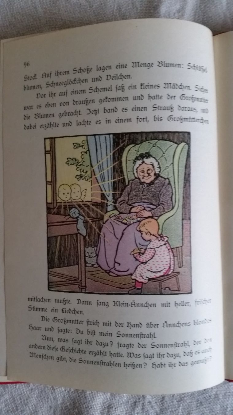 Libri: Im Kinderland – Usato da Niederscherli venduto da Roshi 3