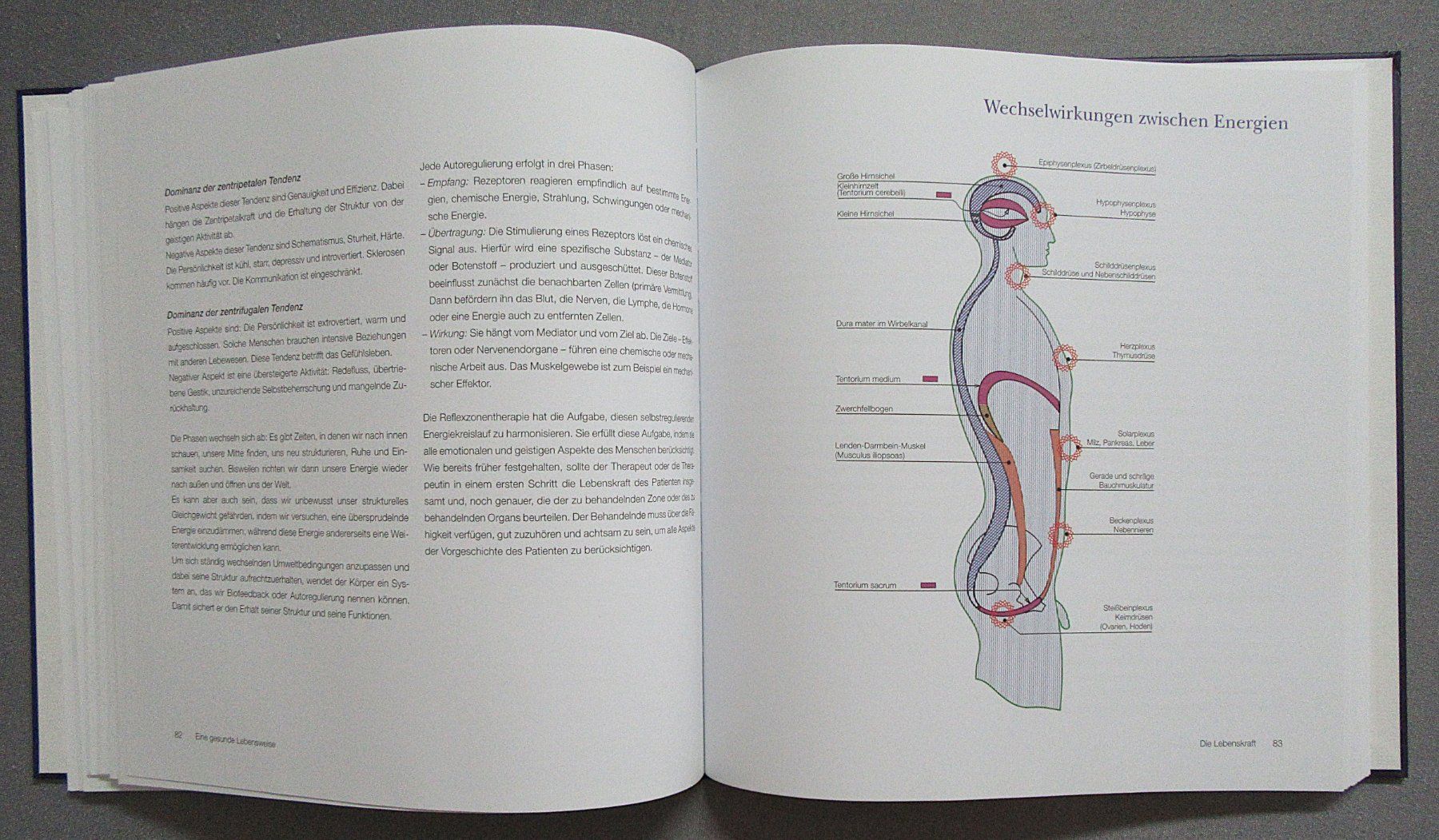 Bücher: Reflexzonentherapie total - von Martine Faure-Anderson – Gebraucht aus Auenstein von Padabimbim 7