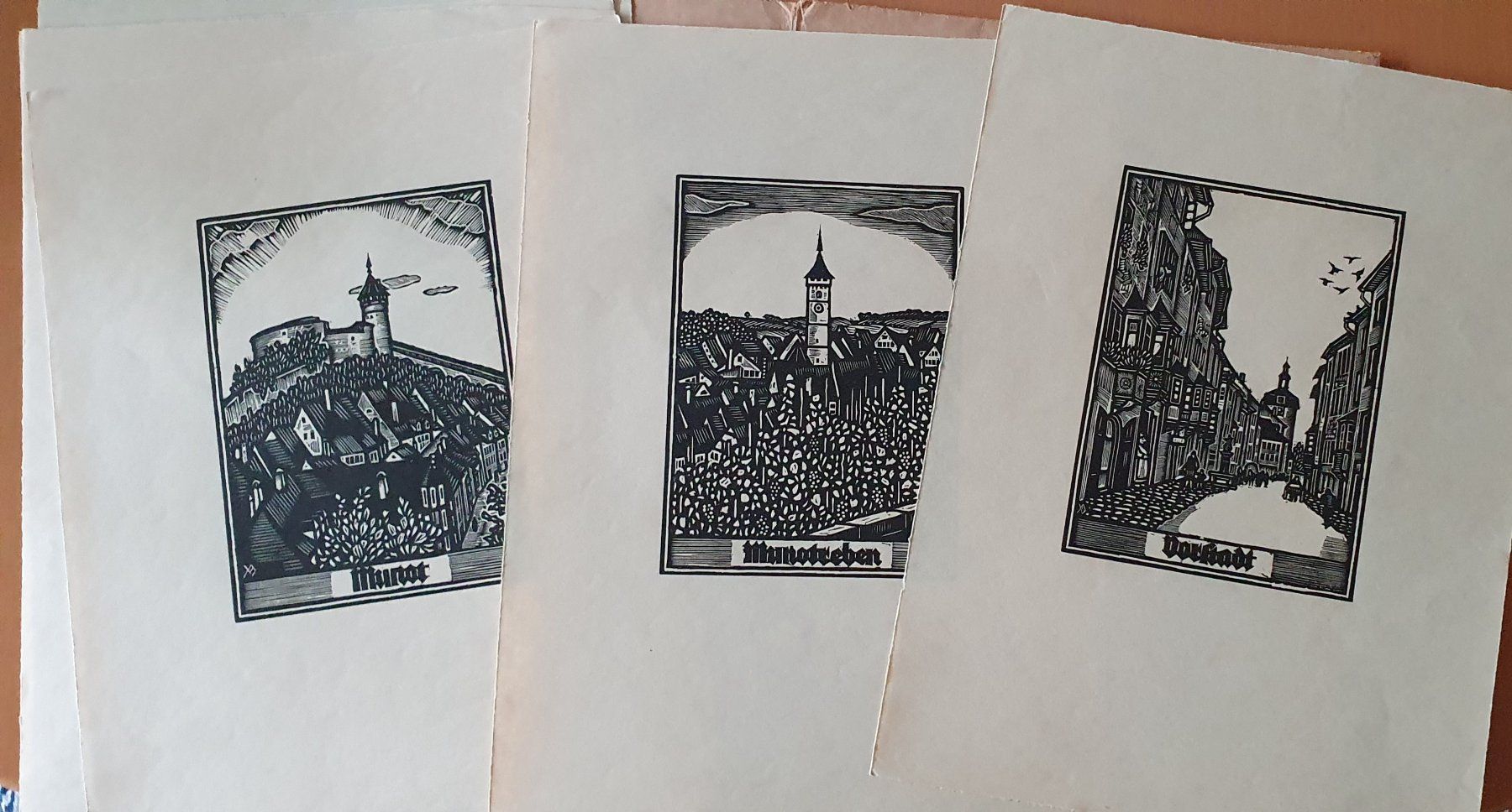 Xilografie: Schaffhausen Holzschnitte, Hugo Böschenstein – Usato da Kreuzlingen venduto da Rschweiz1 3
