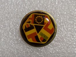 Ansteckpin 265: EU