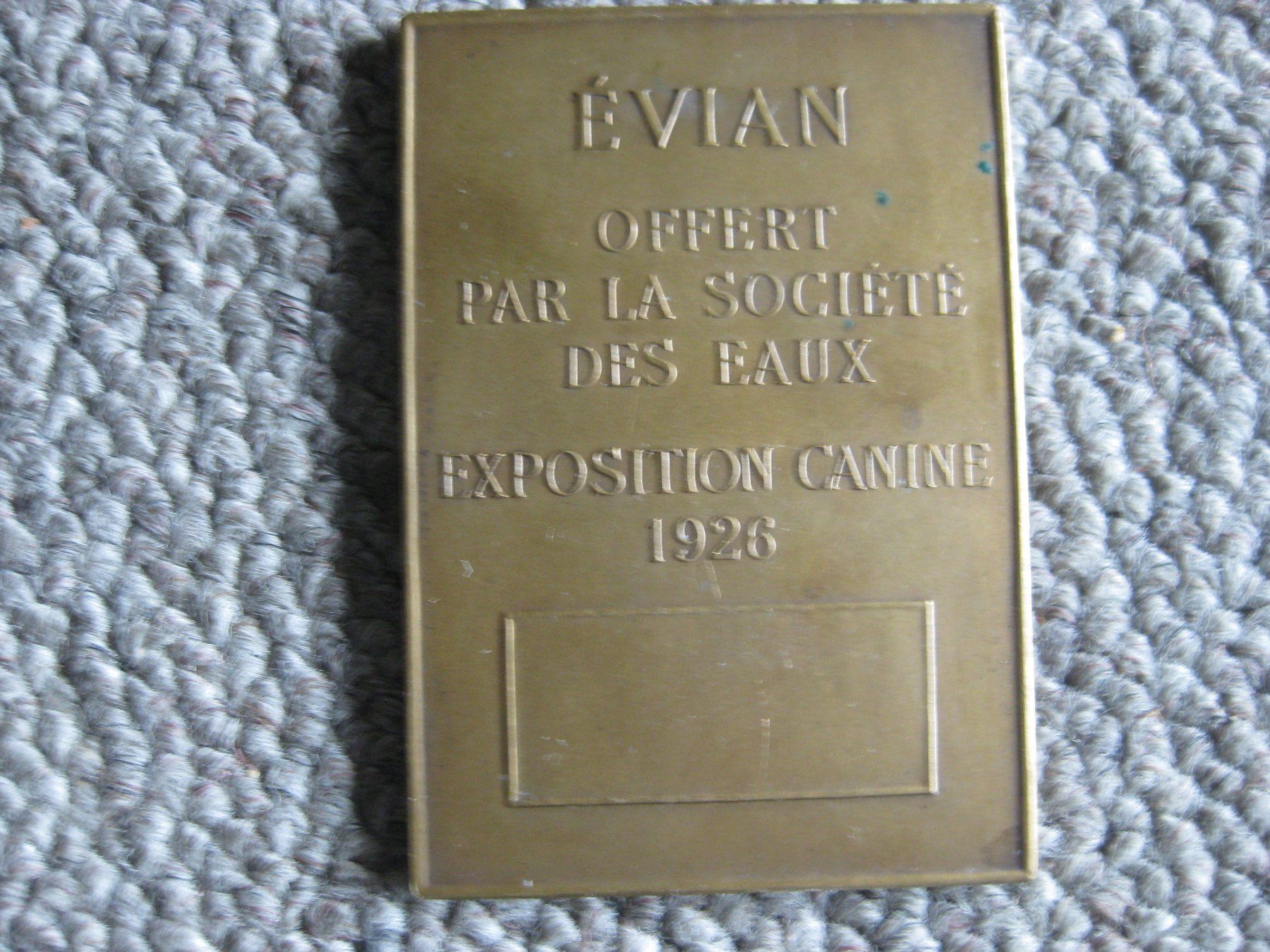 Medaglie: Medaille Bronze, Evian 1926 – Usato da heimberg venduto da wunderplunder01 1