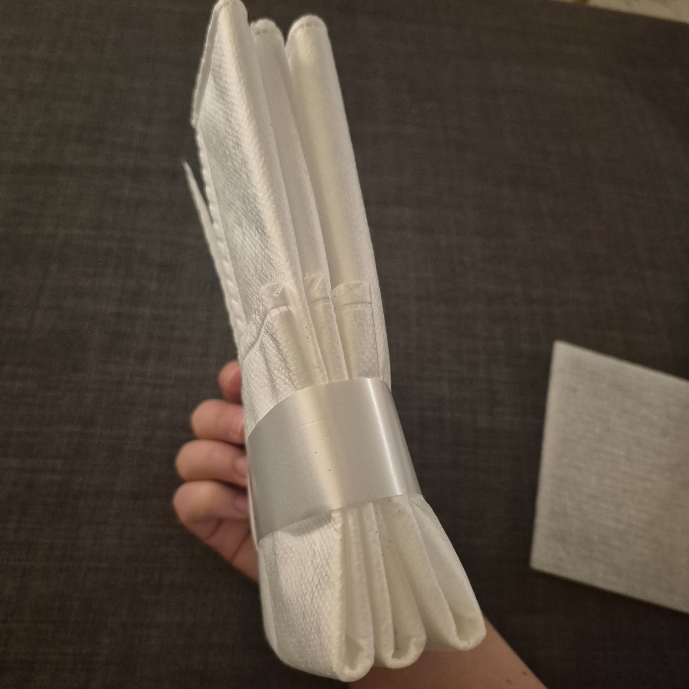 Aspirapolveri & Accessori: V-Cleaner Bag MY 10 – Usato da Zürich venduto da zio_n6kc 4