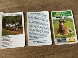 Spielkarten Pferde Set  32 Karten Piatnik neuwertig