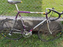 Rennrad Wheeler Adidas Team gebraucht gut erhalten