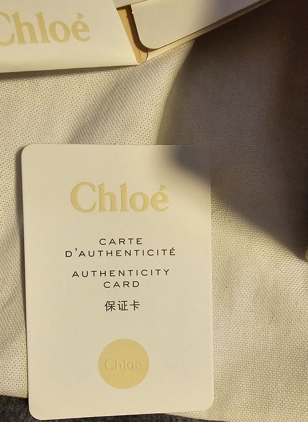 Chloé Borse da donna: Chloe Tasche – Usato da Weite venduto da jes_57jk 1