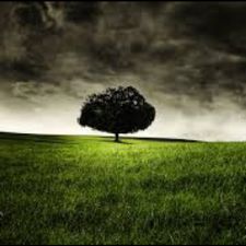 Profile image of NC-