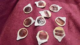 Kaffeerahmdeckeli Pralines
