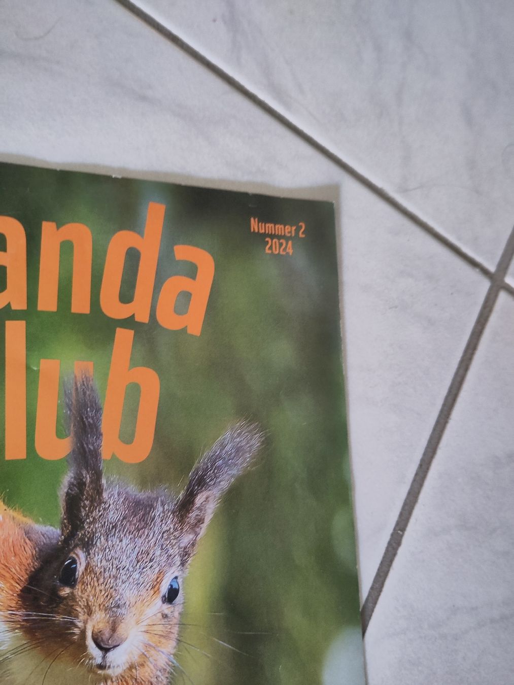Zeitschriften & Magazine: WWF Panda Club & WWF Magazine – Gebraucht aus Dettighofen Lengw. von mai_75wt 2