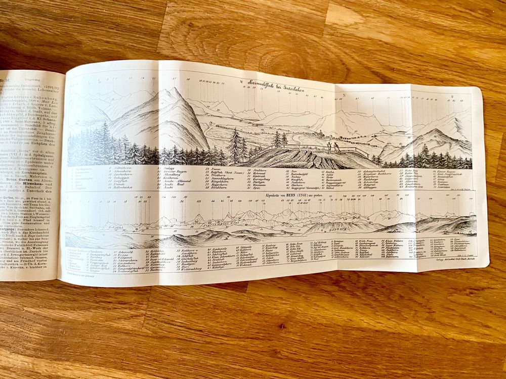 Livres: Iwan von Tschudi - Reisetagebuch Schweiz I + II – D'occasion à Pfäffikon ZH par arbos61 4