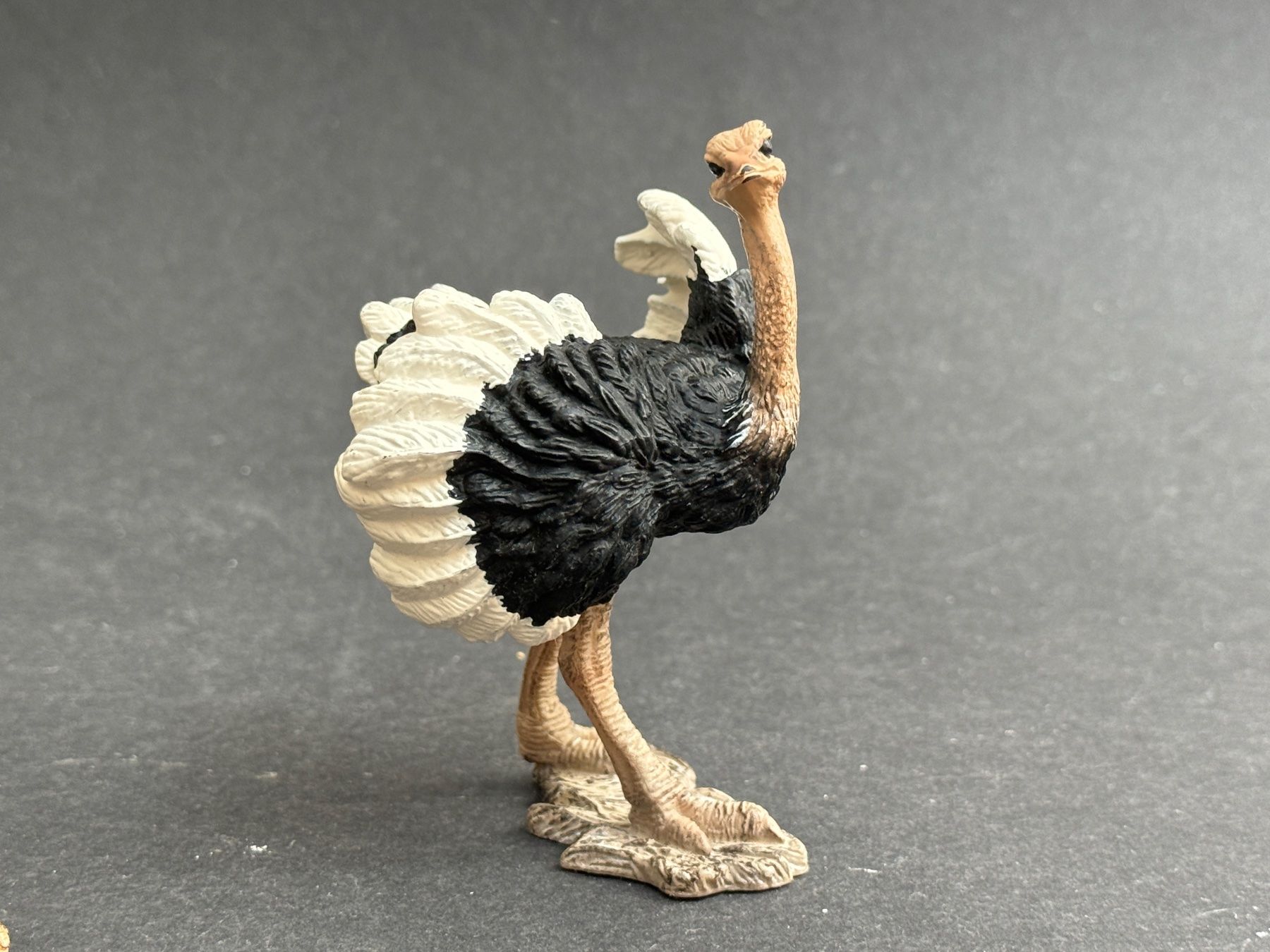 Schleich Statuette: Schleich Strauss Familie – Usato da Ennetbaden venduto da mapa05 5