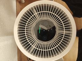 Xiaomi Smart Air Purifier 4 Compact - Great for Allergies 