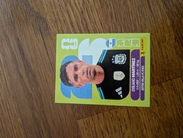 Panini Argentinien 2