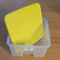 Tupperware Behälter mit gelbem Deckel - Frühling!
