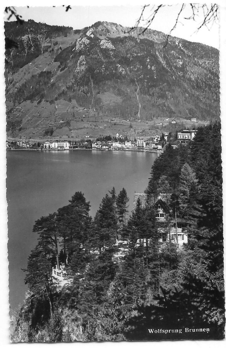 Cartoline postali: Brunnen Wolfsprung Hotel Waldhaus – Usato da Olten venduto da clotaldi