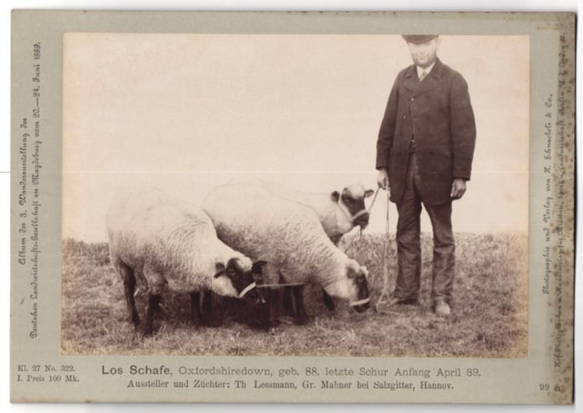 Photos & affiches: Fotografie H. Schnaebeli, Berlin, Ausste – D'occasion à Berlin par bartko-reher