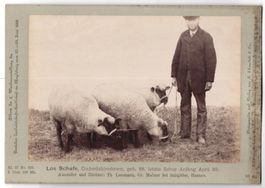 Fotografie H. Schnaebeli, Berlin, Ausste