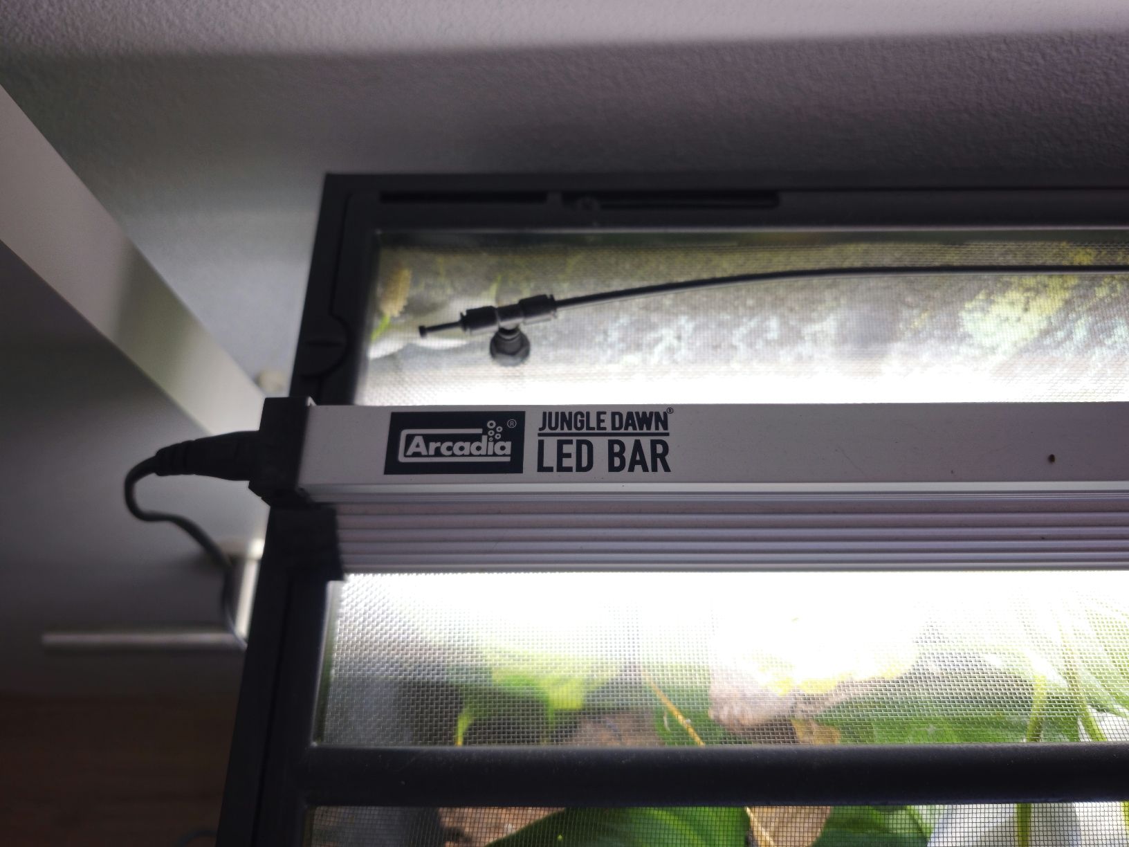Lampade: Arcadia Jungle Dawn LED Bar – Usato da Amriswil venduto da Damian93