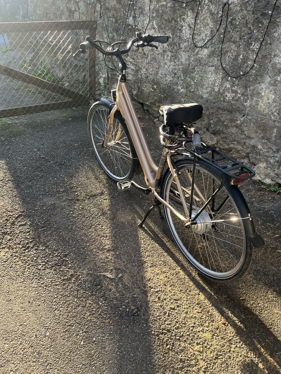 Zenith Bikes Biciclette: E-Bike 2 jährig – Usato da Toffen venduto da slo_5j7d 1