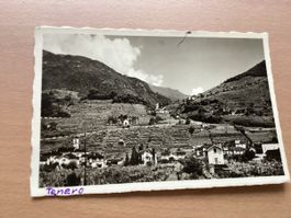 AK Tenero, Panorama