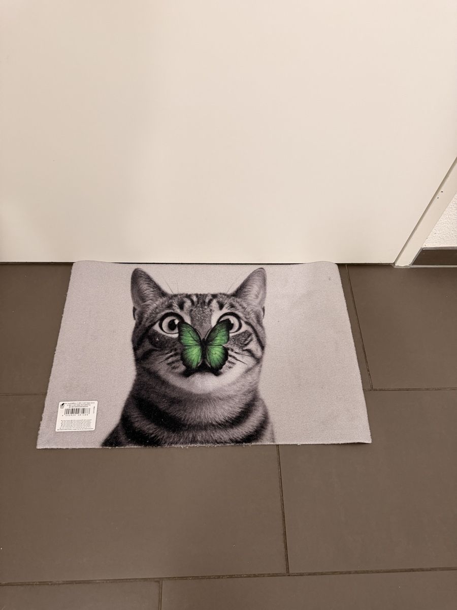 Tappeti: Fussmatte Katze, Neu – Nuovo (secondo la descrizione) da Schaffhausen venduto da wolker217 1