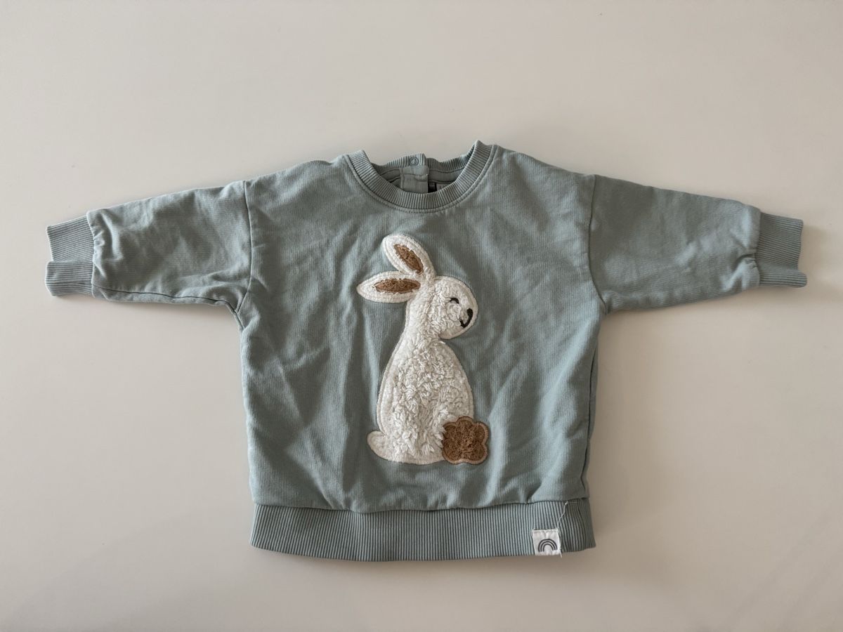 Maglioni & Felpe: Lindex baby sweatshirt 2-4 months – Nuovo (secondo la descrizione) da Basel venduto da pet_2mhp
